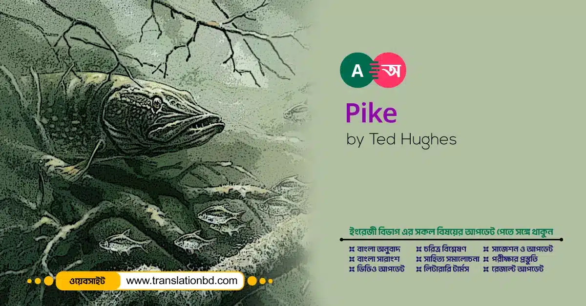 Pike Bangla Translation and Summary - TranslationBD