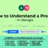 How to Understand a Prose? - In Bangla